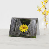 歓迎する黄色い花 カード (黄色い花)