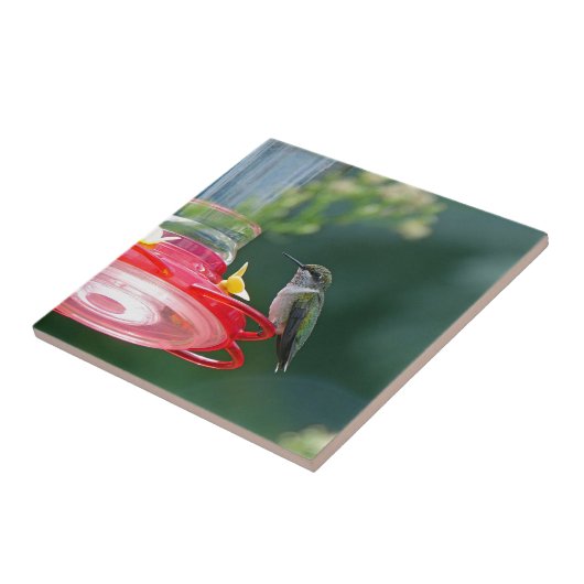 止まったハチドリ タイル (側面)