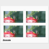 止まったハチドリ 長方形シール (シート)