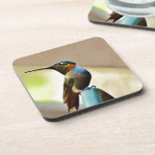 止まったルビーと緑の小さなハミングバード コースター (左側)