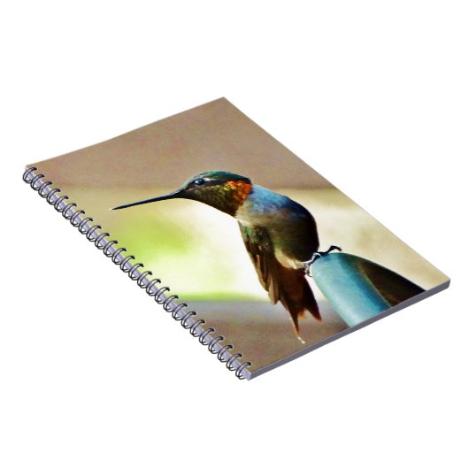 止まったルビーと緑の小さなハミングバード ノートブック (右側)