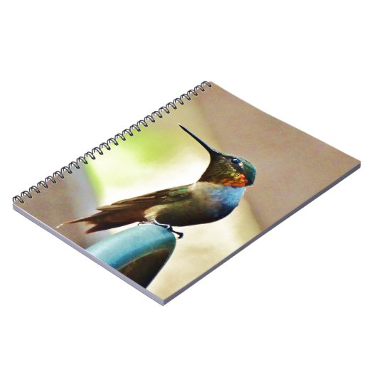 止まったルビーと緑の小さなハミングバード ノートブック (左側)
