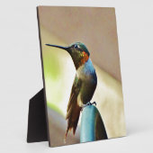 止まったルビーと緑の小さなハミングバード フォトプラーク (側面)