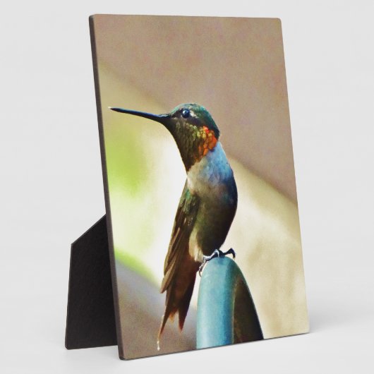 止まったルビーと緑の小さなハミングバード フォトプラーク (側面)