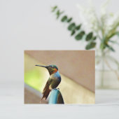 止まったルビーと緑の小さなハミングバード ポストカード (スタンド正面)