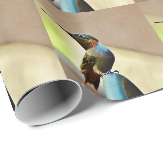 止まったルビーと緑の小さなハミングバード ラッピングペーパー (ロールコーナー)