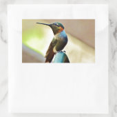 止まったルビーと緑の小さなハミングバード 長方形シール (バッグ)