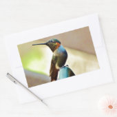 止まったルビーと緑の小さなハミングバード 長方形シール (封筒)