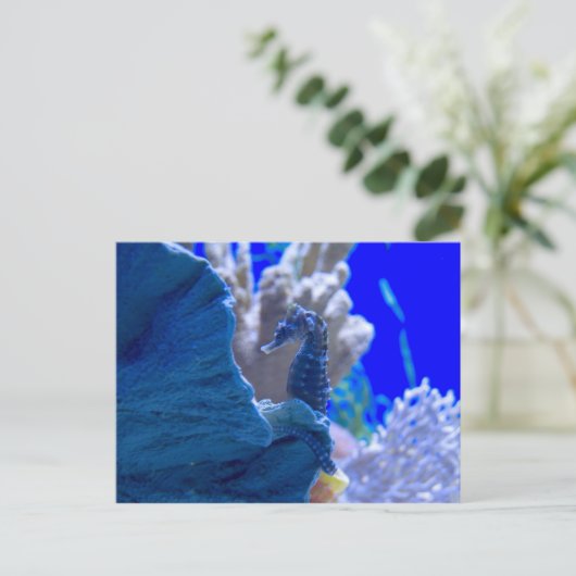 止まった木馬 ポストカード (スタンド正面)