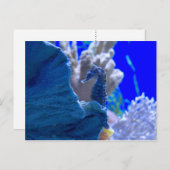 止まった木馬 ポストカード (正面/裏面)