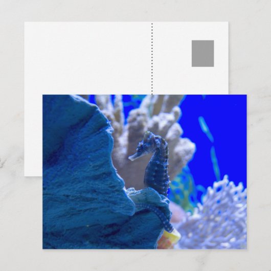 止まった木馬 ポストカード (正面/裏面)