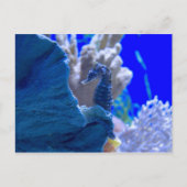 止まった木馬 ポストカード (正面)