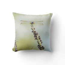 止まってトンボだ！自然恋人