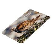 止まらない赤い回転石 マグネット (左側)