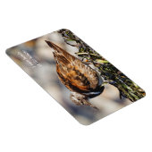 止まらない赤い回転石 マグネット (右側)