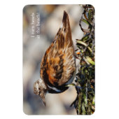 止まらない赤い回転石 マグネット (縦)