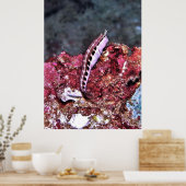 止まらんか ポスター (キッチン)