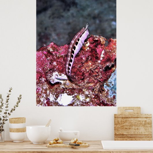 止まらんか ポスター (キッチン)