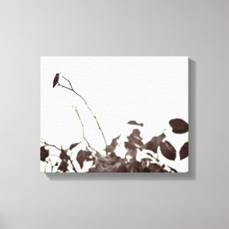 止まり木ハミングバード14x11キャンバスプリント キャンバスプリント