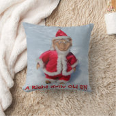 正しいすてき古小妖精や小人 クッション (ブランケット)