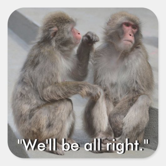 正しいステッカーになります スクエアシール (正面)