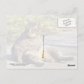 正しい姿勢 ポストカード (裏面)