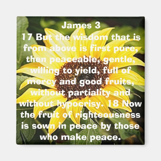 正しい聖書の聖句ひまわりの果実 マグネット (正面)