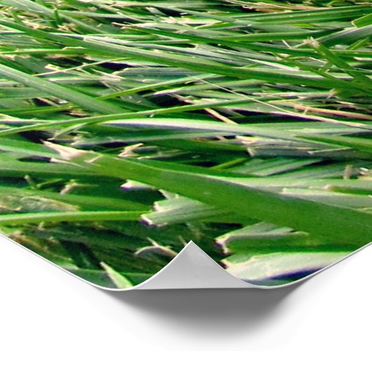 正しい靴 ポスター (角)