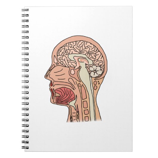 正中矢状面の脳断面図 ノートブック (正面)