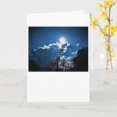 正午、カード カード (黄色い花)