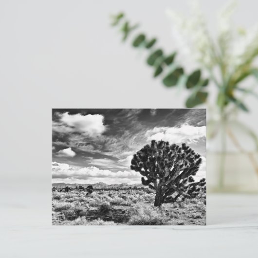 正午 ポストカード (スタンド正面)