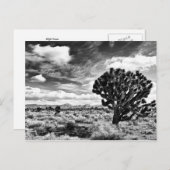 正午 ポストカード (正面/裏面)