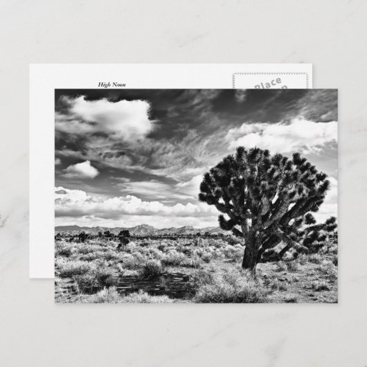 正午 ポストカード (正面/裏面)