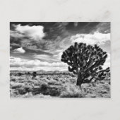 正午 ポストカード (正面)