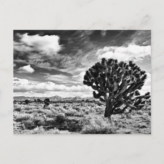 正午 ポストカード (正面)