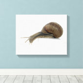 正常なカタツムリ キャンバスプリント (インサイチュ (ウッドフロア))