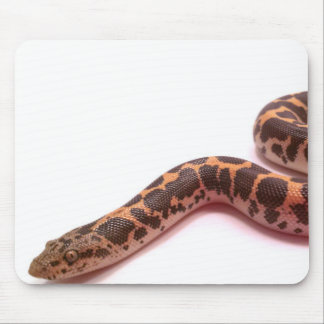 正常なケニアの砂のボアのmousepad マウスパッド