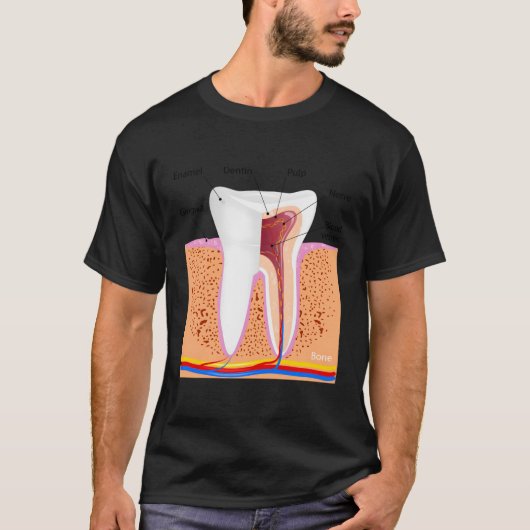 正常な歯の歯の歯エナメル加工のための歯科解剖学 Tシャツ (正面)