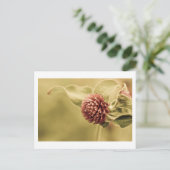 正当な約束 ポストカード (スタンド正面)