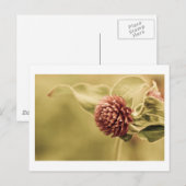 正当な約束 ポストカード (正面/裏面)