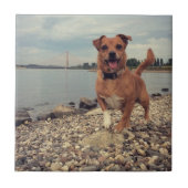 正方形のイメージを持つセラミックタイル タイル (正面)