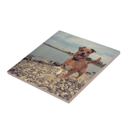 正方形のイメージを持つセラミックタイル タイル (側面)