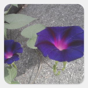 正方形の光沢のある花のステッカー スクエアシール