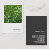 正方形の写真0136 -デイジー芝生 名刺 (正面/裏面)