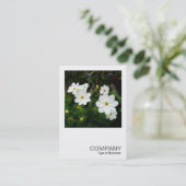 正方形の写真0159 – 白いコスモスの花 名刺 (スタンド正面)