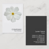 正方形の写真0161 – 白いコスモスの花 名刺 (正面/裏面)