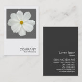 正方形の写真0162 – コスモスフラワー・オン・グレー 名刺 (正面/裏面)