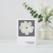 正方形の写真0162 – コスモスフラワー・オン・グレー 名刺 (スタンド正面)