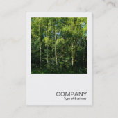 正方形の写真0168 – シルバー樺の木の木 名刺 (正面)