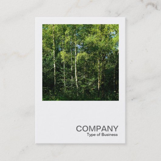 正方形の写真0168 – シルバー樺の木の木 名刺 (正面)